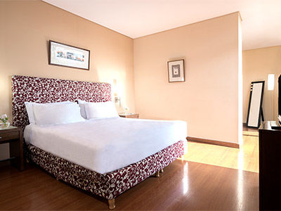Nh Cordillera Hotel Mendoza